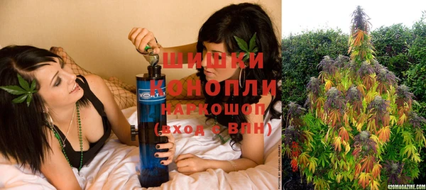 дживик Заводоуковск