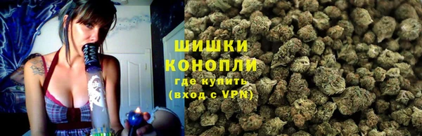 дживик Заводоуковск