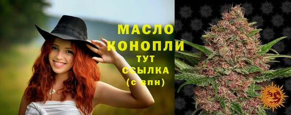 дживик Заводоуковск