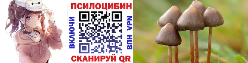 Купить  Жирновск  Псилоцибиновые грибы Psilocybine cubensis 